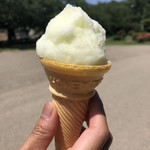 藤田アイス店 - 料理写真: