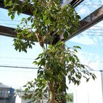 パステルコーヒーショップ - 
