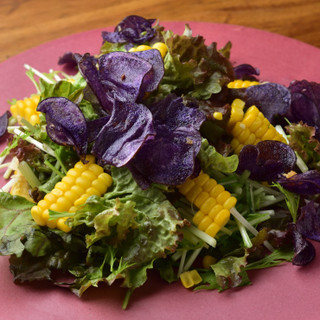 ピージェイズカフェ 自然派ワインと横須賀野菜_2