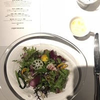 レフェルヴェソンス - 