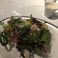 レフェルヴェソンス - 