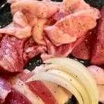 ホルモン豚金 - ミックスホルモン 塩