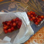 隣りどうし　あなたと