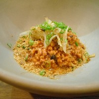 セルサルサーレ - 