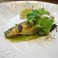 セルサルサーレ - 