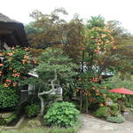 パティスリー クグラパン - 海蔵寺　ノウゼンカズラ（凌霄花）