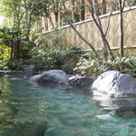 青山やまと - 早朝の露天風呂です。