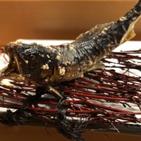 浅草じゅうろく - 