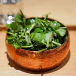 肉屋 雪月花 NAGOYA - 天然のクレソンのサラダ、 新玉ねぎのドレッシング