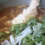 しる万 - 天ぷらカレーうどん