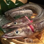 瀬戸内料理 懐凪 - 