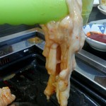 焼肉鴻漸 - ホルモン