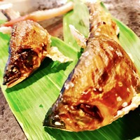 飛騨季節料理 肴 - 