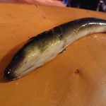 うなぎ屋酒坊・画荘 越後屋 - 