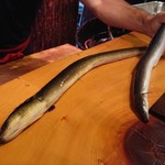 うなぎ屋酒坊・画荘 越後屋 - 