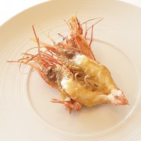 レストラン・モリエール - 