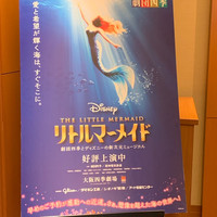 ゼックスウエスト サルヴァトーレ クオモブロス - 