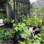 エル・バウ・デコラシオン - レストラン1階部分。グリーンが生い茂っている初夏の「エル・バウ・デコラシオン」