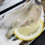 産直組合浜のかあちゃんの店 - ◆「天然岩牡蠣」