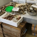 産直組合浜のかあちゃんの店 - ◆「天然岩牡蠣」