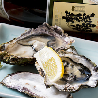 Fill your stomach with Hiroshima's famous oysters!