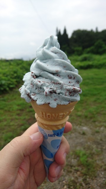 胆沢まるごと案内所 - 水沢（その他）の写真