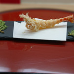 Live shrimp (1)