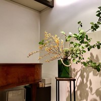 キメラ - 