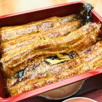 うなぎ 仲じま - 『うな重（特上）』アップ