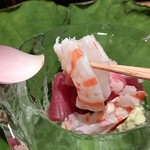 日本料理 楽心 - ●おまかせコース18,000+中瓶ビール900X3＋日本酒(1合1700X2)+サービス料2410=25,600円 2019年07月