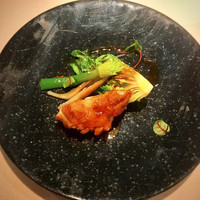 スミレオオサカ - 