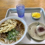 めぐみうどん - 肉ごぼう天うどん