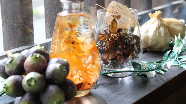 PEPITA D'ORO photo 4