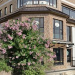 スターバックス・コーヒー - 