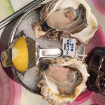 Oyster Bar ジャックポット - 