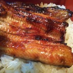 川扇 - 鰻  アップ