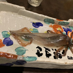 函館海鮮居酒屋魚まさ - 