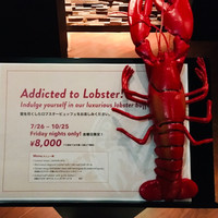 アトモス･イタリアンダイニング - 