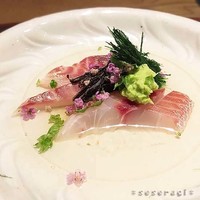 ごだん 宮ざわ - 向付　イサキのお刺身が泳いでます