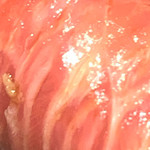 寿し おおはた - 