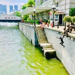 HARVEST SEAFOOD RESTAURANT - 