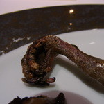 レストラン タテル ヨシノ - ヴィヤンド／本日のジビエ料理／ピジョンラミエのロースト、パースニップのピュレ