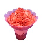 ル・スゥブラン - 料理写真:《夏限定》いちごおりソフト　￥680