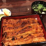 うなぎ 魚政 - 「坂東うなぎ」（特上）