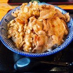 そば処 若松屋 - ちょいメガハーフ丼(焼肉丼&小海老天丼)　アップ