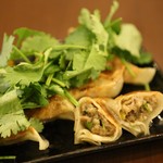 パクチー餃子