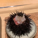 鮨 由う - 三陸産ムラサキウニ、富山産白えび、鮪中落ち 
      由うオリジナルキャビアのせ