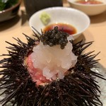 鮨 由う - 三陸産ムラサキウニ、富山産白えび、鮪中落ち 
      由うオリジナルキャビアのせ
