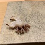 鮨 由う - 千葉県産新イカ炙り