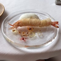 サーラ アマービレ - 